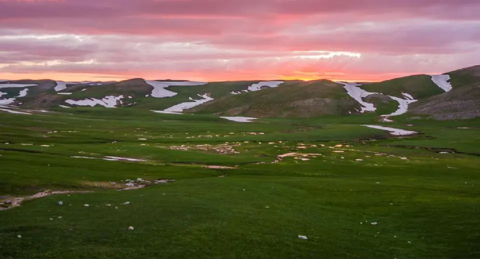 Green steppe under a pink sky