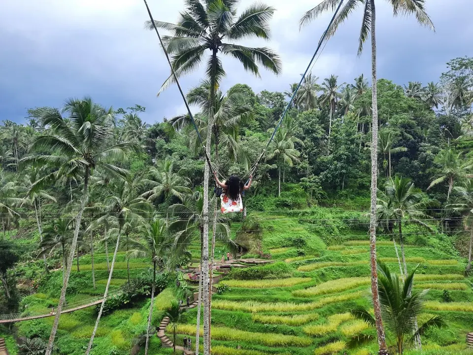 Traveller on the jungle swing above Ubud rice terraces