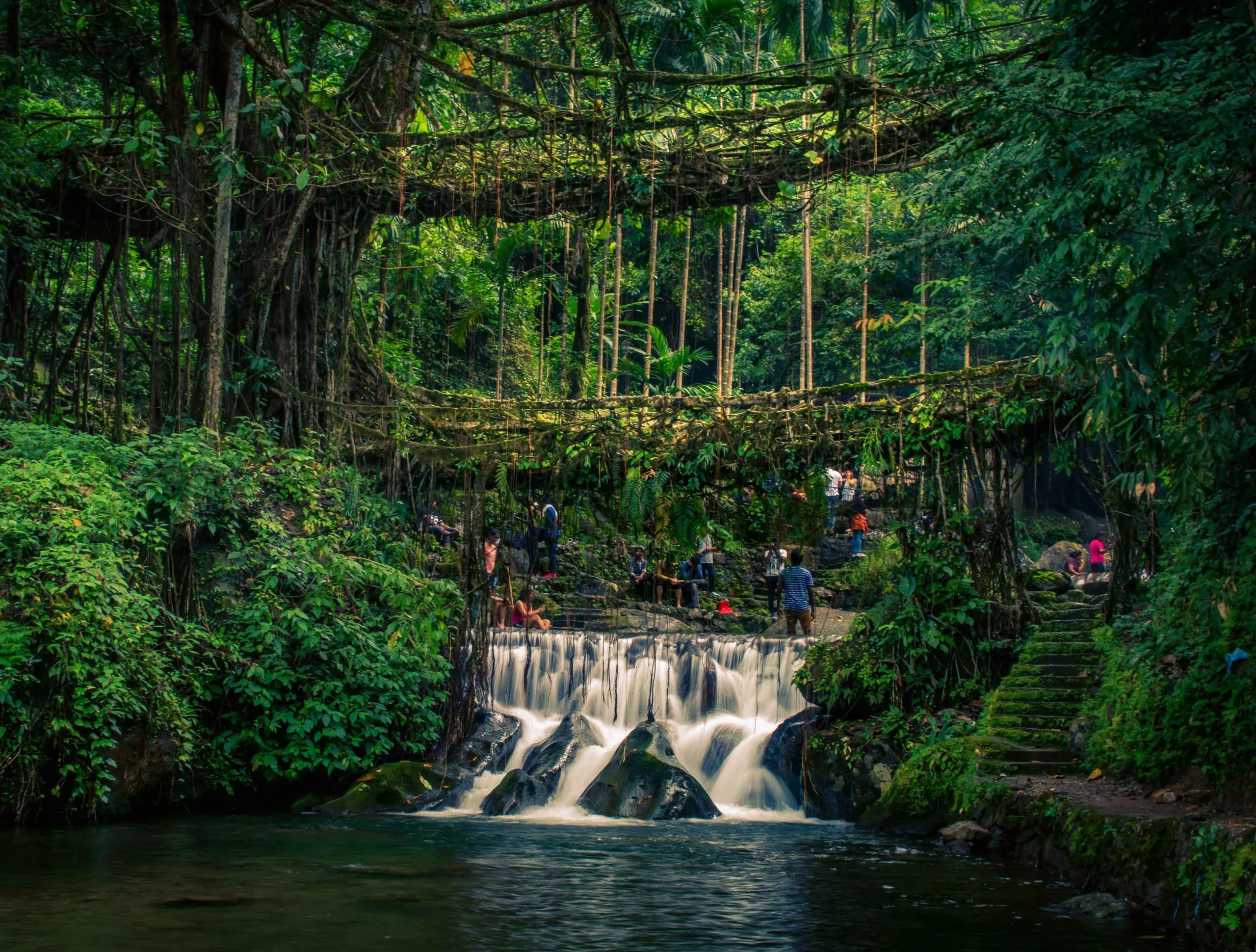 Double decker living root bridge, Nongriat